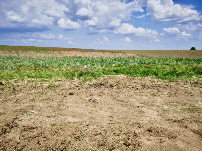 Butimanu, teren cu deschidere la lac, Jud. Dambovita.
